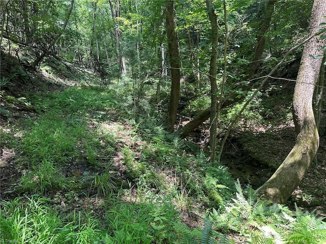 0000 Boone Gap Ln, Taylorsville, NC 28681