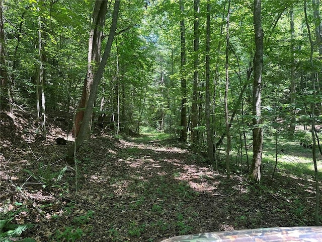 0000 Boone Gap Ln, Taylorsville, NC 28681