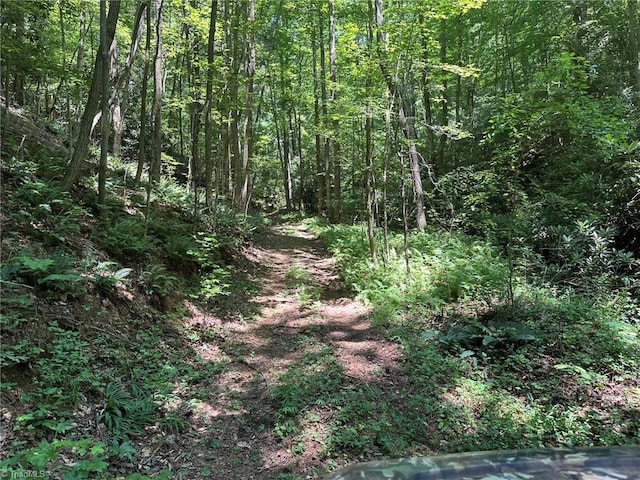 0000 Boone Gap Ln, Taylorsville, NC 28681