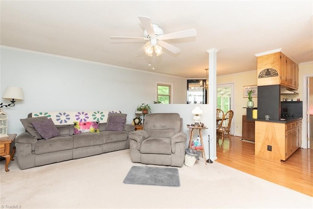 living room featuring crown molding, a ceiling fan, and light wood finished floors