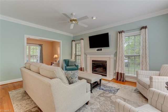 living room with light wood-type flooring, ornamental molding, a fireplace with flush hearth, and ceiling fan