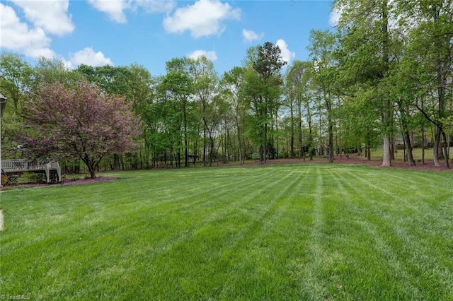 view of yard