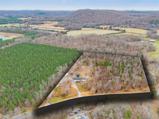 birds eye view of property featuring a mountain view