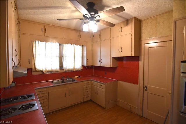 kitchen featuring a textured ceiling, gas stovetop, ceiling fan, sink, and light hardwood / wood-style floors