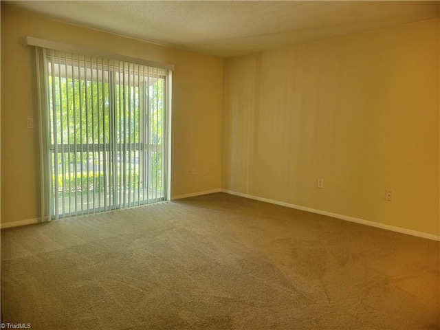 spare room with baseboards and carpet flooring