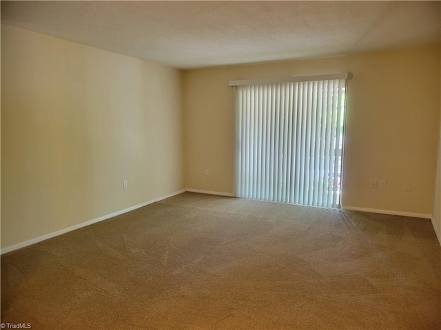 empty room featuring carpet floors, a textured ceiling, and baseboards