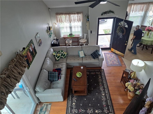 living room featuring ceiling fan and light wood-type flooring