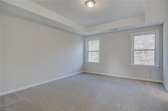 carpeted spare room featuring a tray ceiling