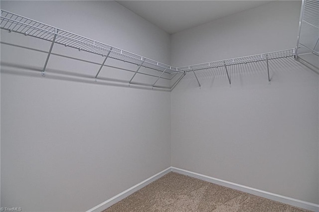 walk in closet with carpet