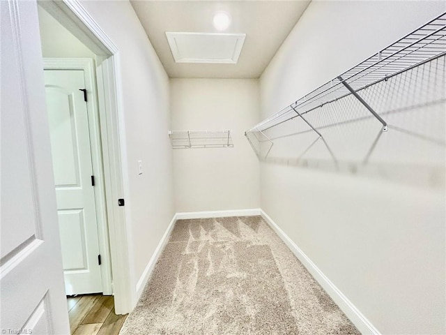 walk in closet featuring light colored carpet