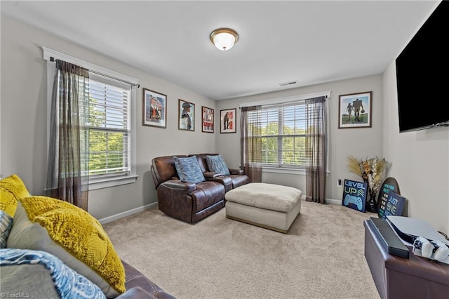 8018 Hacker Dr, Stokesdale, NC 27327 - living area featuring plenty of natural light, carpet flooring, and baseboards