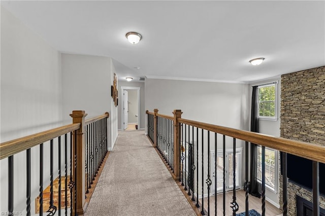 8018 Hacker Dr, Stokesdale, NC 27327 - hallway with baseboards