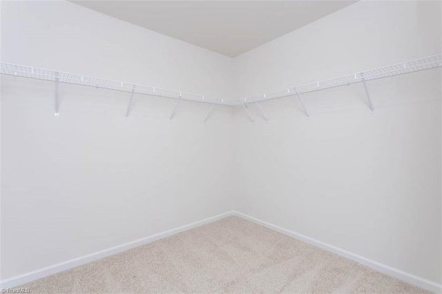 248 Warbler Way, Lexington, NC 27295 - walk in closet with carpet flooring