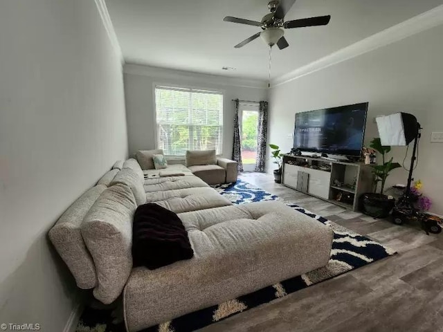 living room featuring ornamental molding, ceiling fan, and light wood-type flooring