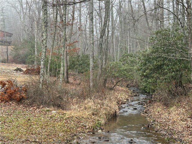 view of nature