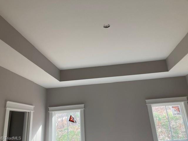 room details with a raised ceiling