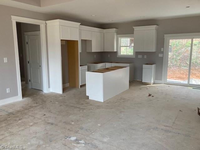 kitchen with white cabinetry