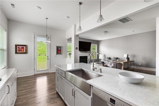 kitchen with a sink, plenty of natural light, dishwasher, and dark wood-type flooring