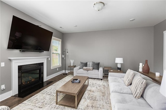 living room with wood finished floors, baseboards, and a glass covered fireplace