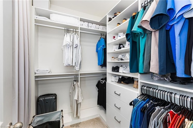 view of walk in closet