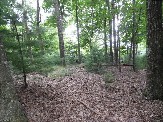 Listing photo 3 for TBD Longview Cir, Roaring Gap NC 28627