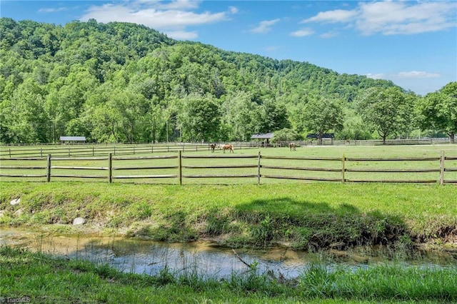 883 Wagon Ridge Ln, Ferguson, NC 28624 - view of yard featuring a wooded view and a view of countryside