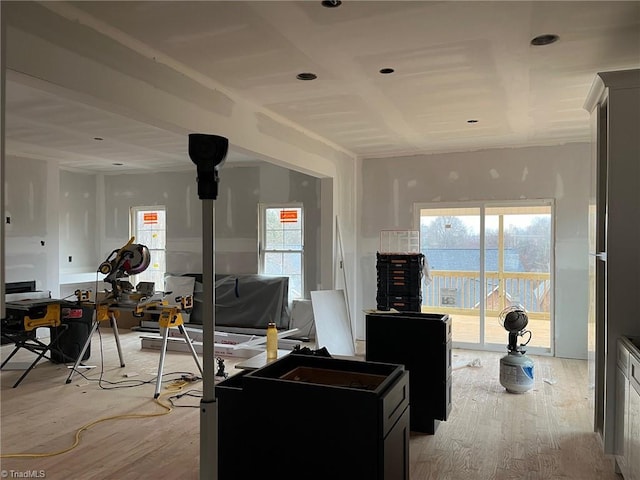 living area with light wood-style floors and a healthy amount of sunlight