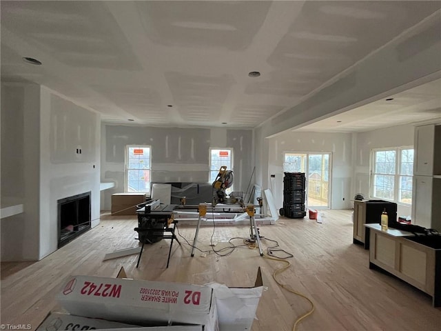 interior space featuring light wood-type flooring, a fireplace, and a wealth of natural light