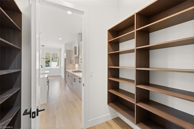 walk in closet with sink and light hardwood / wood-style floors