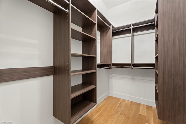 walk in closet with light hardwood / wood-style flooring