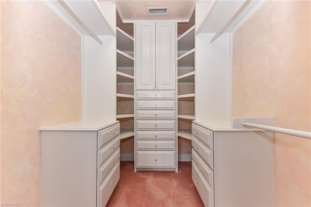 walk in closet with carpet floors