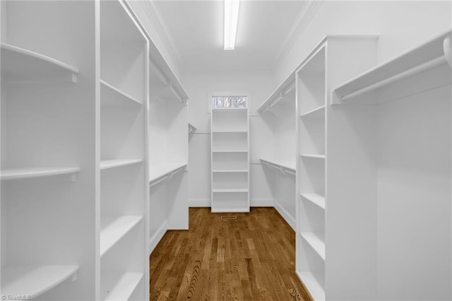 walk in closet featuring wood finished floors