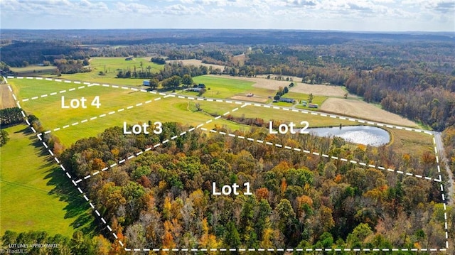 6641 Phillippi Rd, Liberty, NC 27298