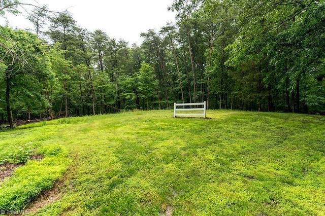 view of grassy yard featuring a wooded view