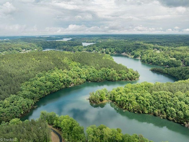 bird's eye view of a forest and a nearby body of water
