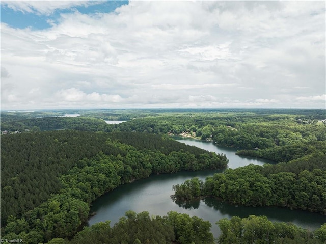 aerial view of a heavily wooded area and a nearby body of water