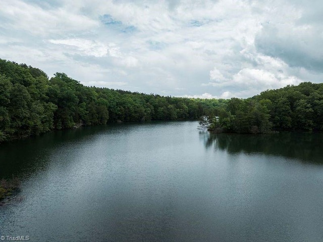 water view with a heavily wooded area