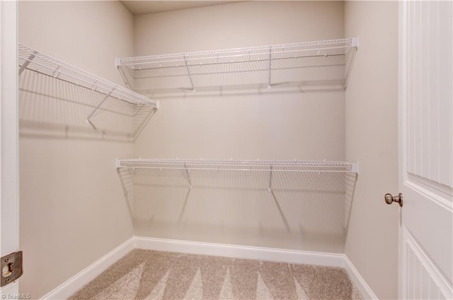 spacious closet with carpet floors