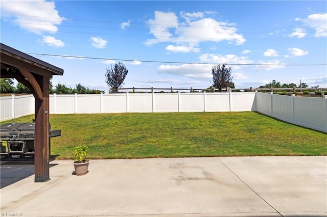 view of yard with a fenced backyard and a patio area