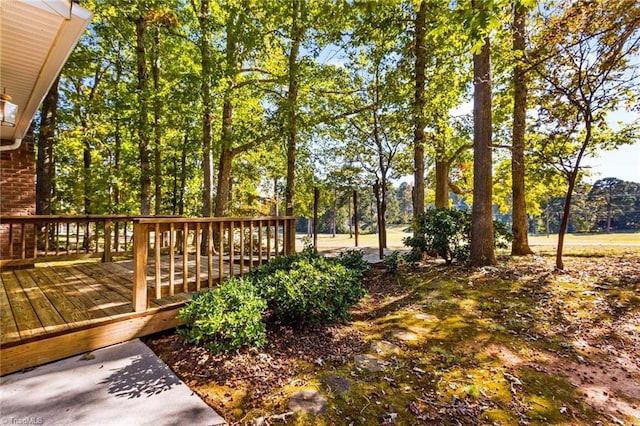 view of yard featuring a wooden deck