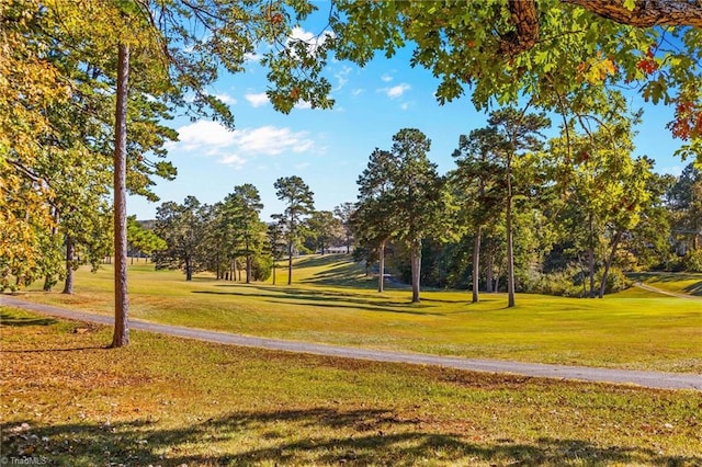 view of property's community with a yard