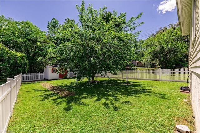 1602 Larkin St, High Point, NC 27262 - view of yard with a storage shed and an outdoor structure