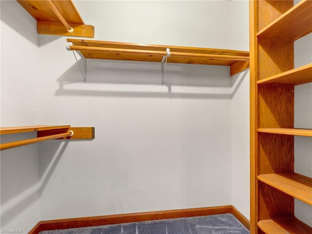 spacious closet featuring carpet floors