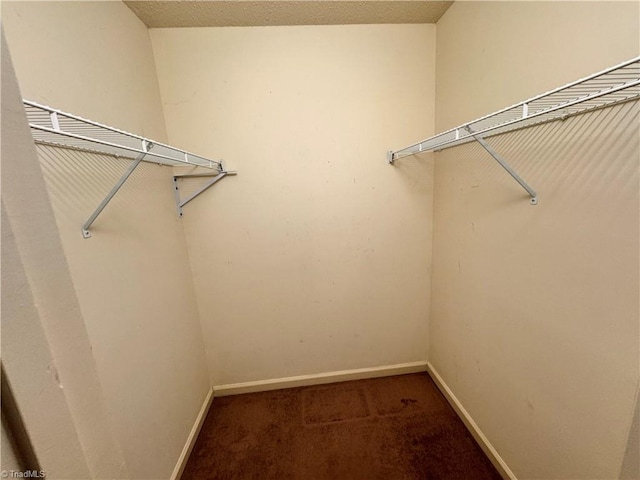 spacious closet with dark colored carpet