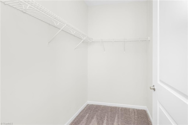 walk in closet with carpet