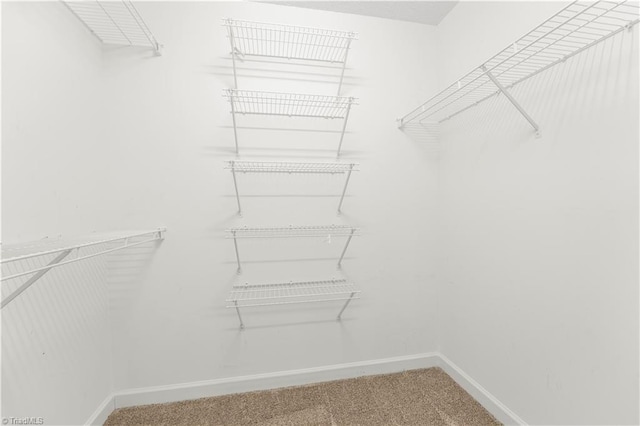 125 Haven Grove Trl, Clemmons, NC 27012 - walk in closet featuring carpet
