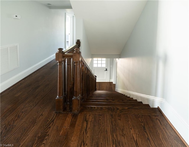 staircase featuring wood-type flooring