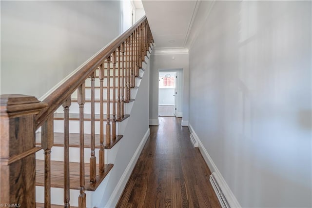 stairway with hardwood / wood-style floors and ornamental molding