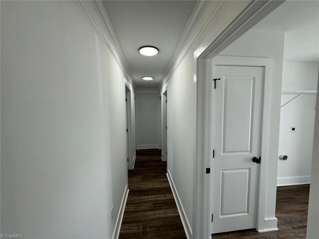 hallway with ornamental molding and dark wood-type flooring