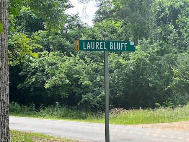 249 Laurel Bluff Trl, Dobson, NC 27017
